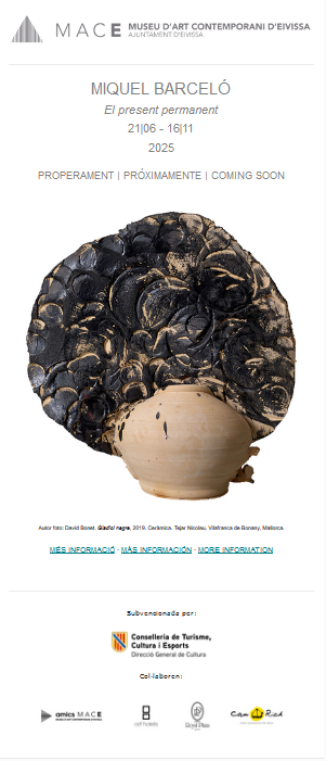 Imagen Miquel Barceló