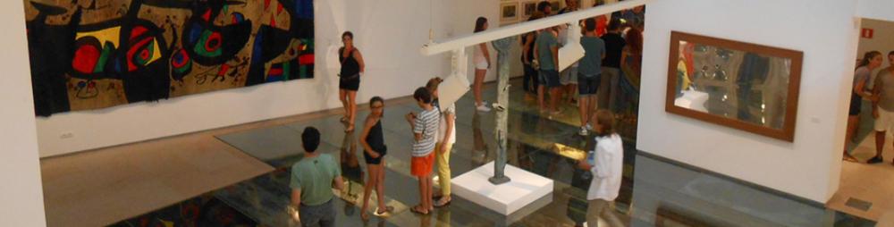 Imagen Visita Guiada al MACE